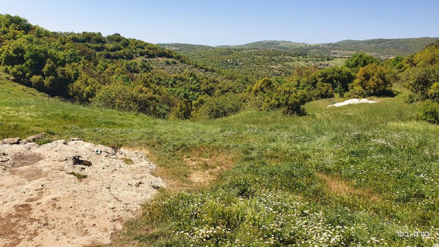 סובב הר מירון
